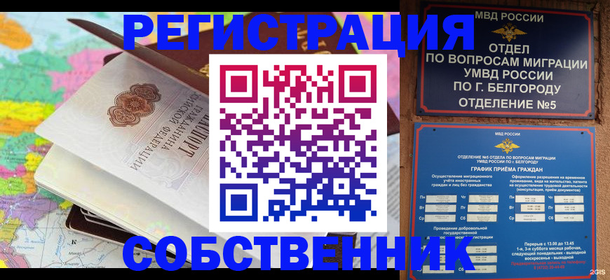 временная регистрация гарантия в Мытищах